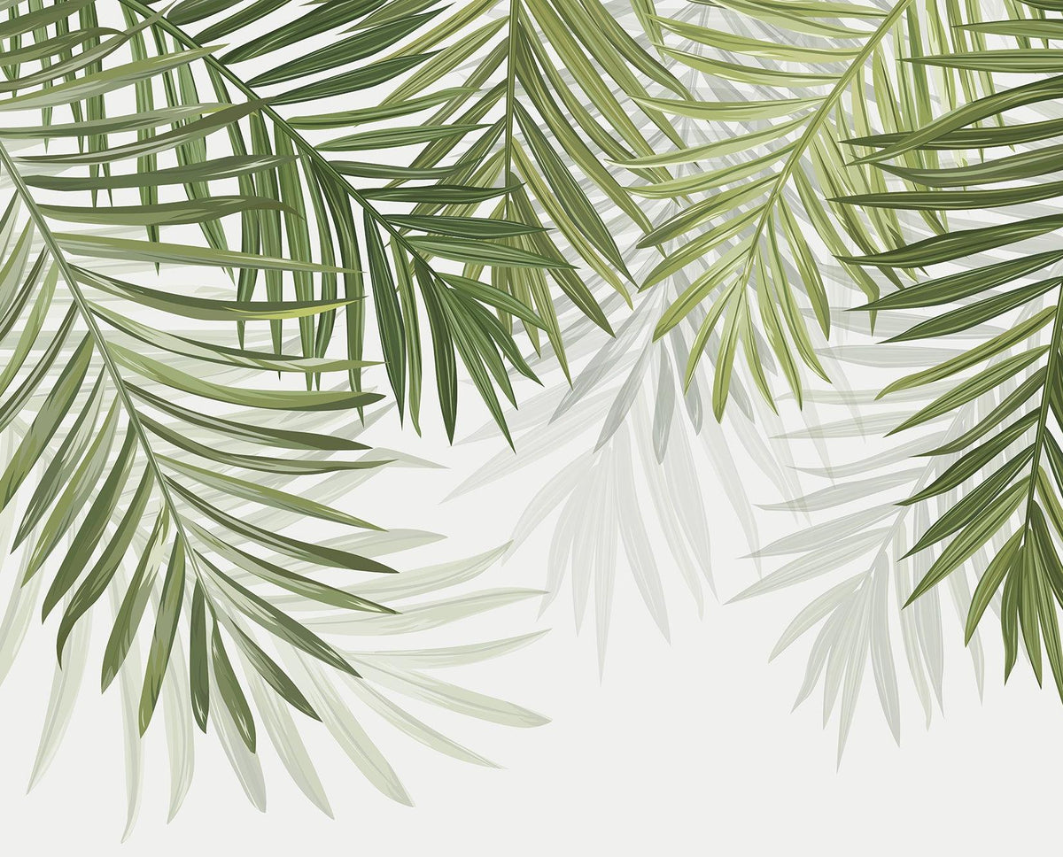 Papier peint feuillage vert feuilles de palmier