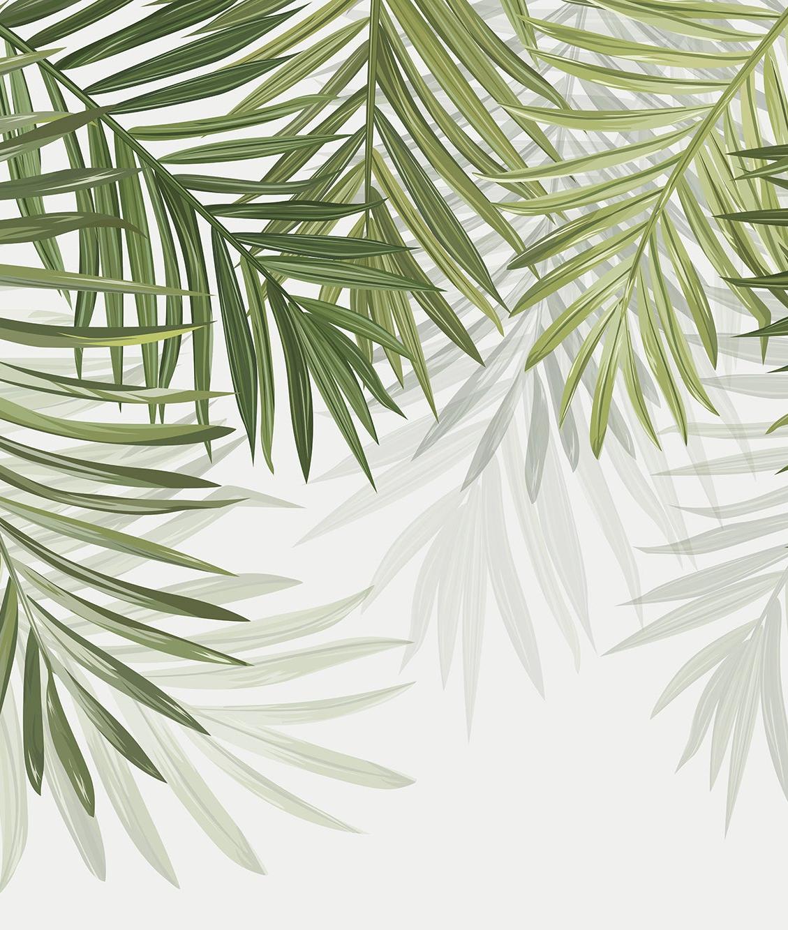Papier peint feuillage vert feuilles de palmier