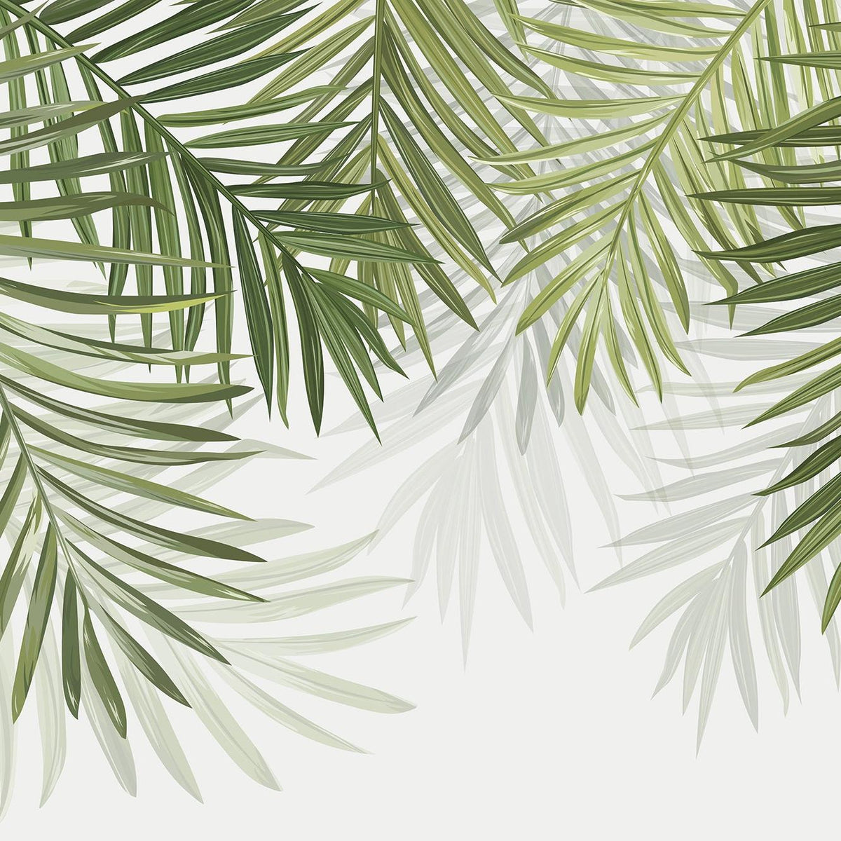 Papier peint feuillage vert feuilles de palmier