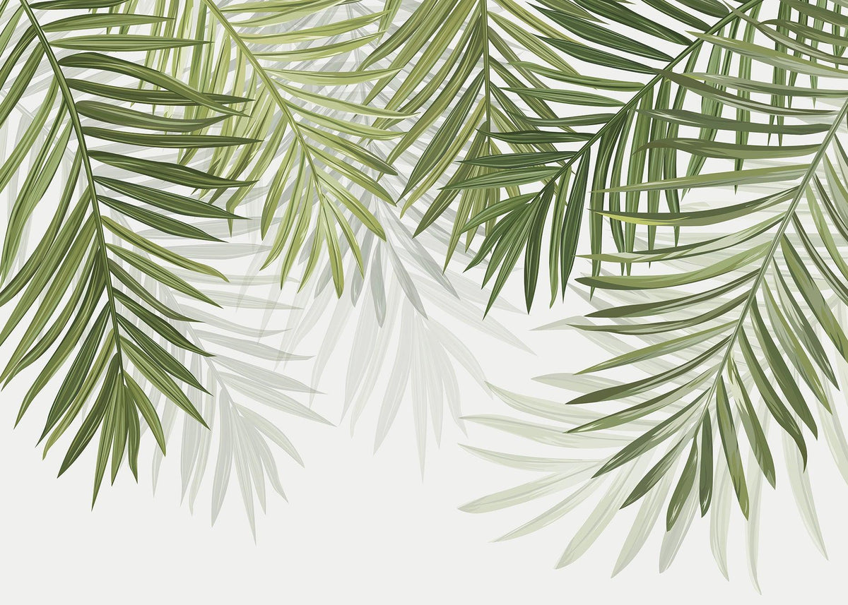 Papier peint feuillage vert feuilles de palmier