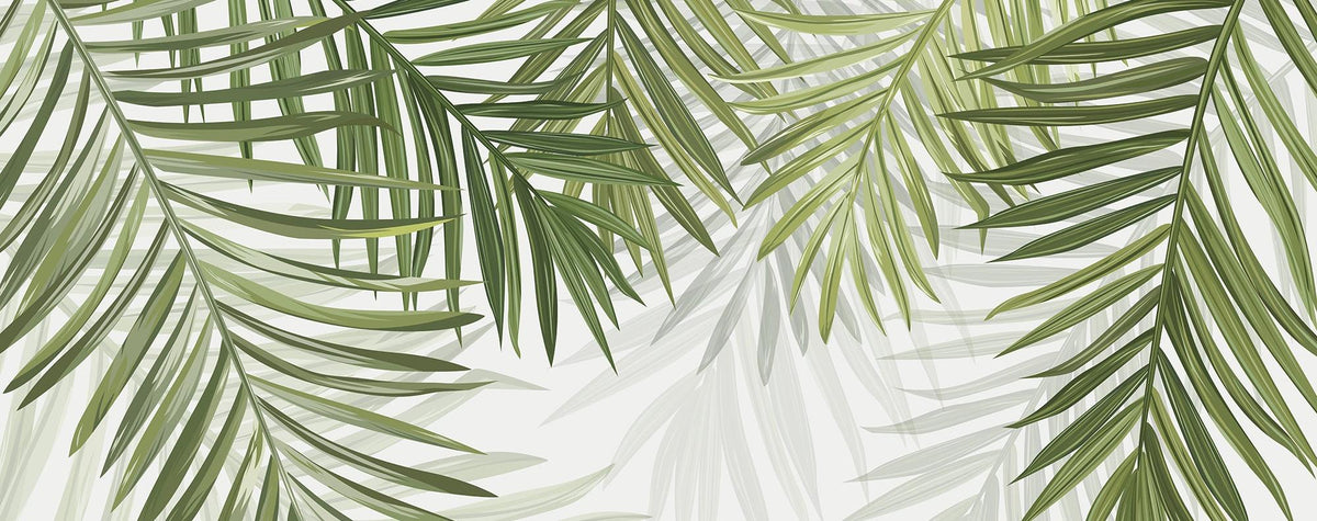 Papier peint feuillage vert feuilles de palmier