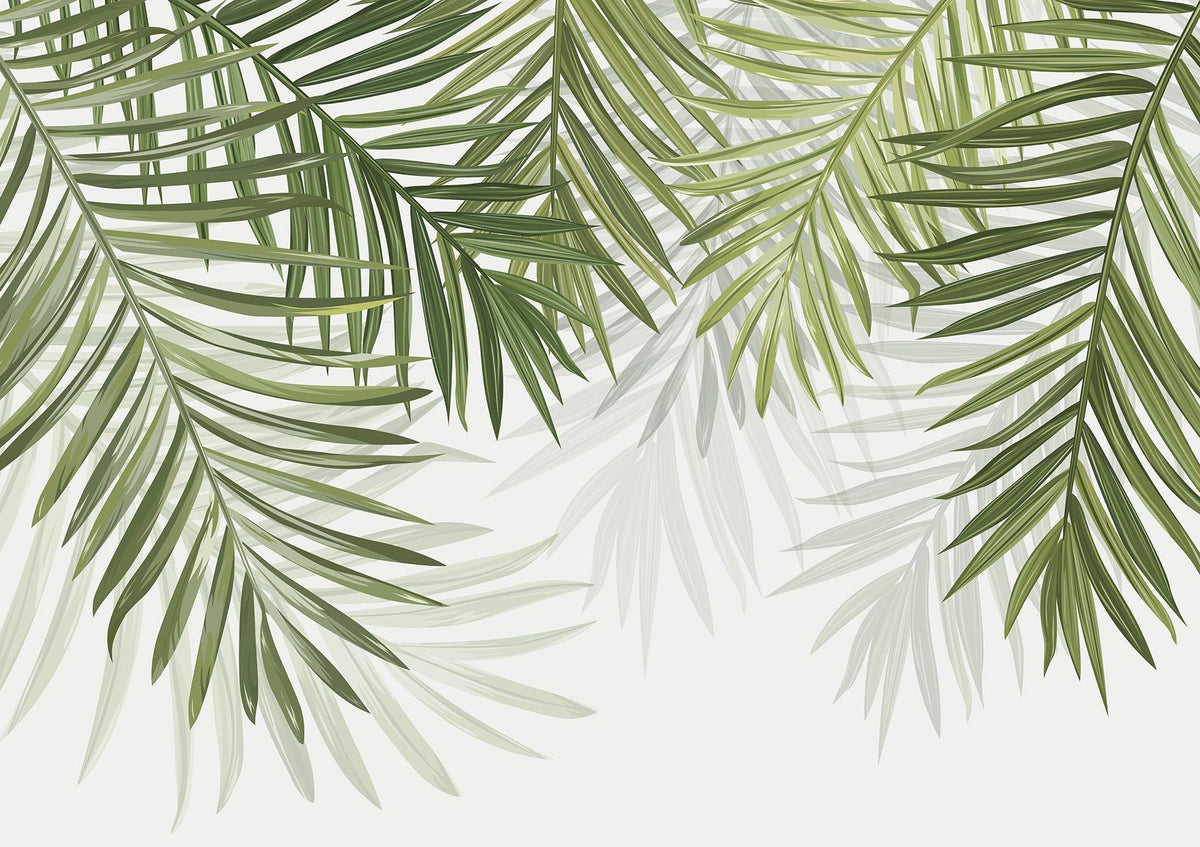 Papier peint feuillage vert feuilles de palmier