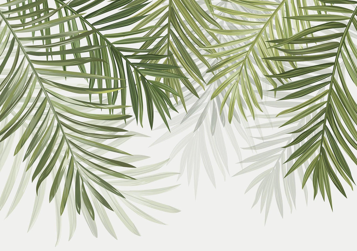 Papier peint feuillage vert feuilles de palmier
