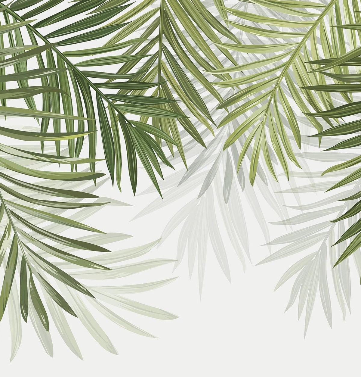 Papier peint feuillage vert feuilles de palmier