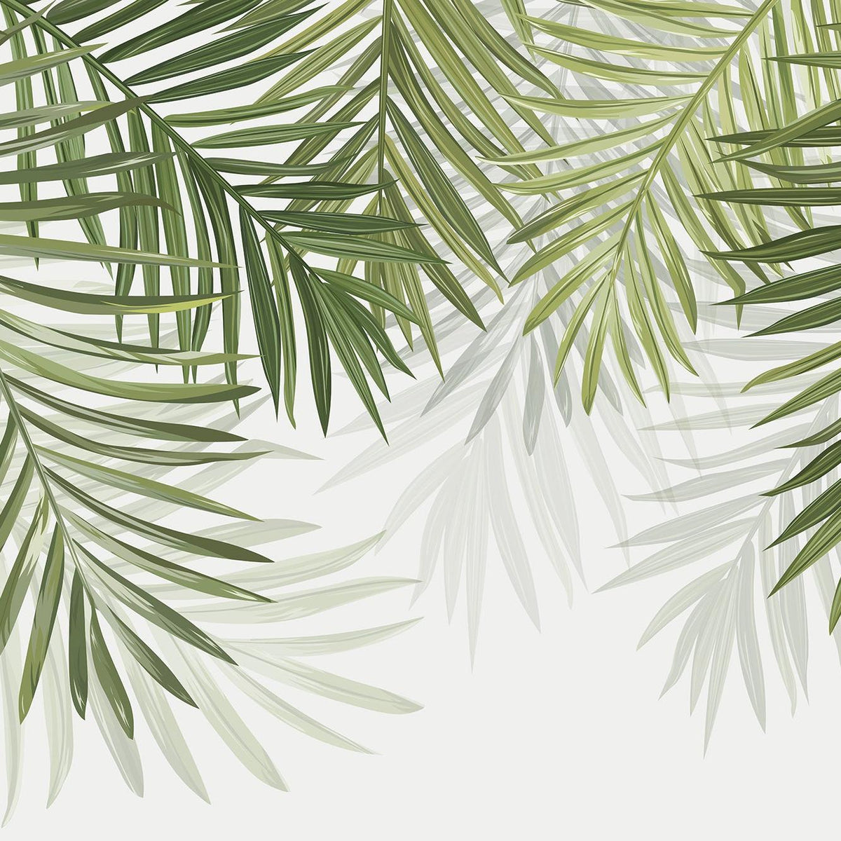 Papier peint feuillage vert feuilles de palmier