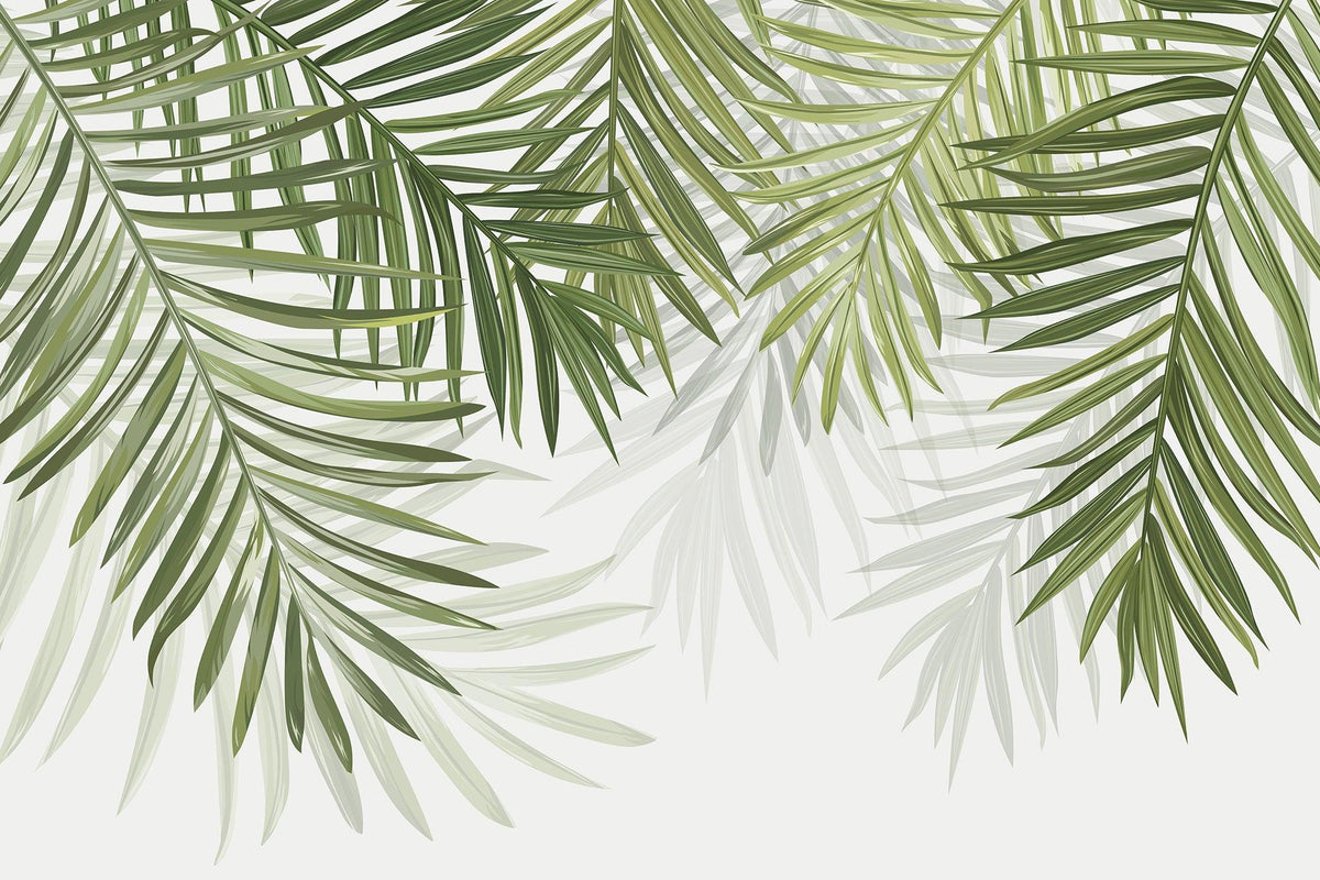 Papier peint feuillage vert feuilles de palmier