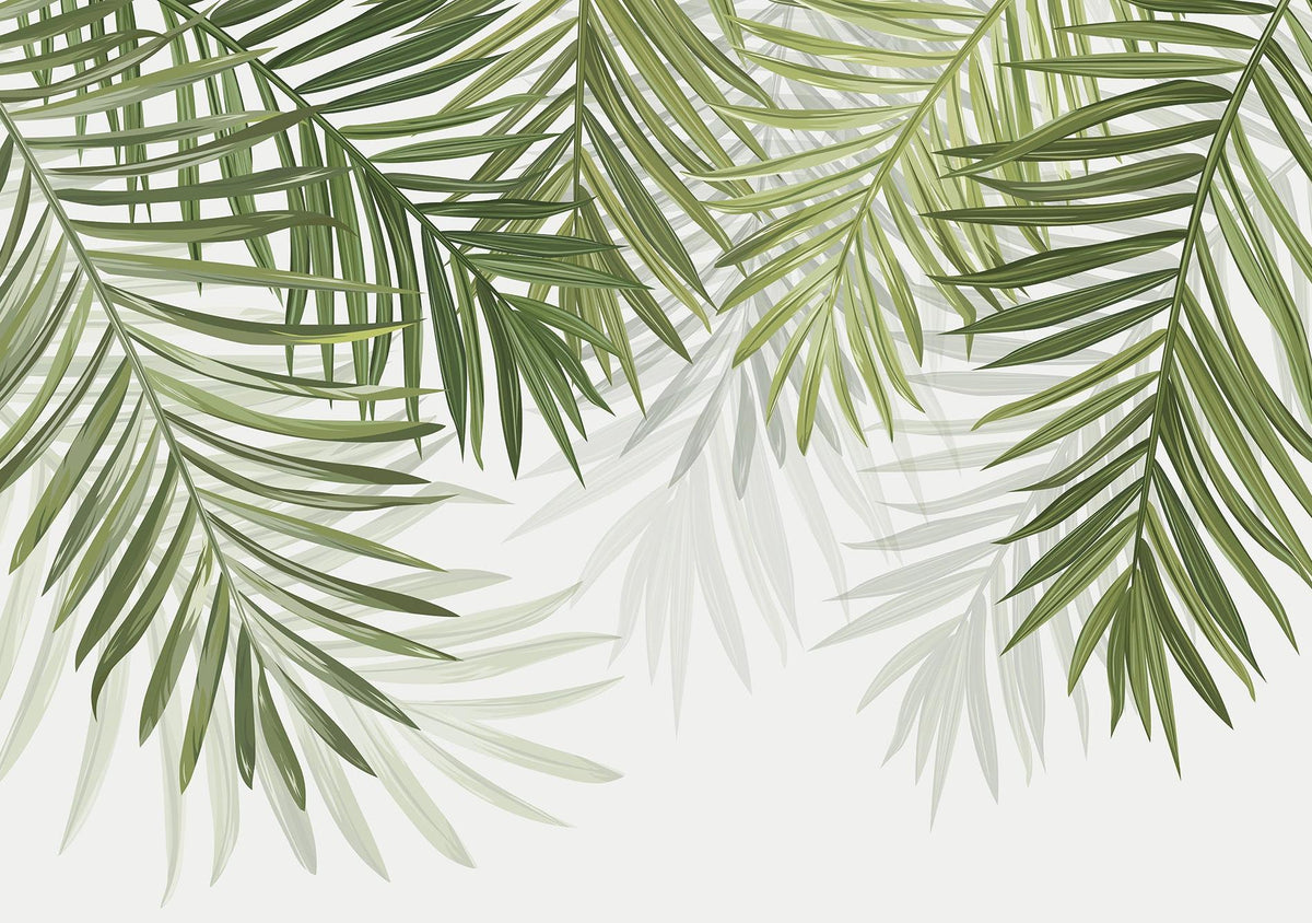 Papier peint feuillage vert feuilles de palmier
