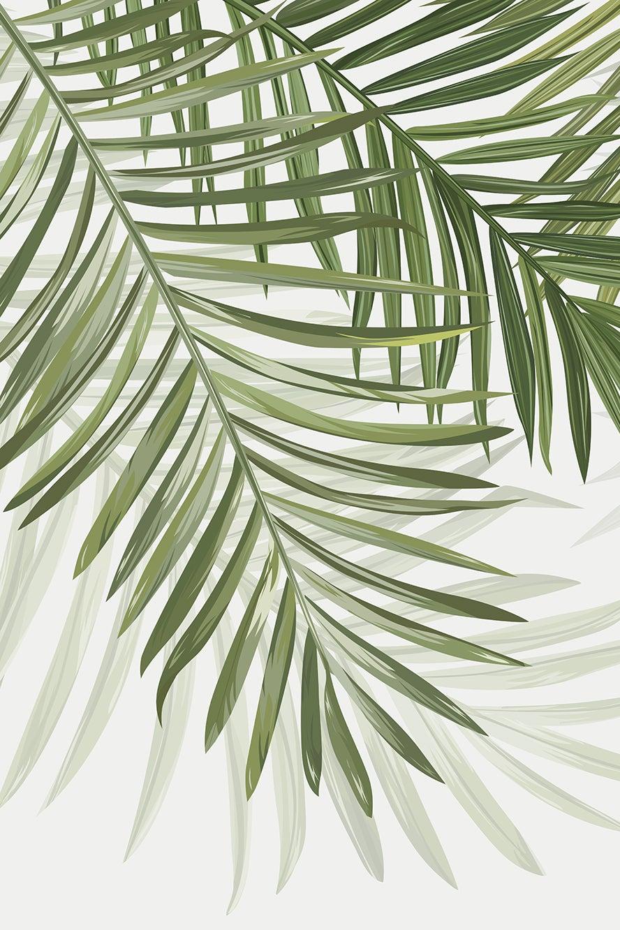 Papier peint feuillage vert feuilles de palmier