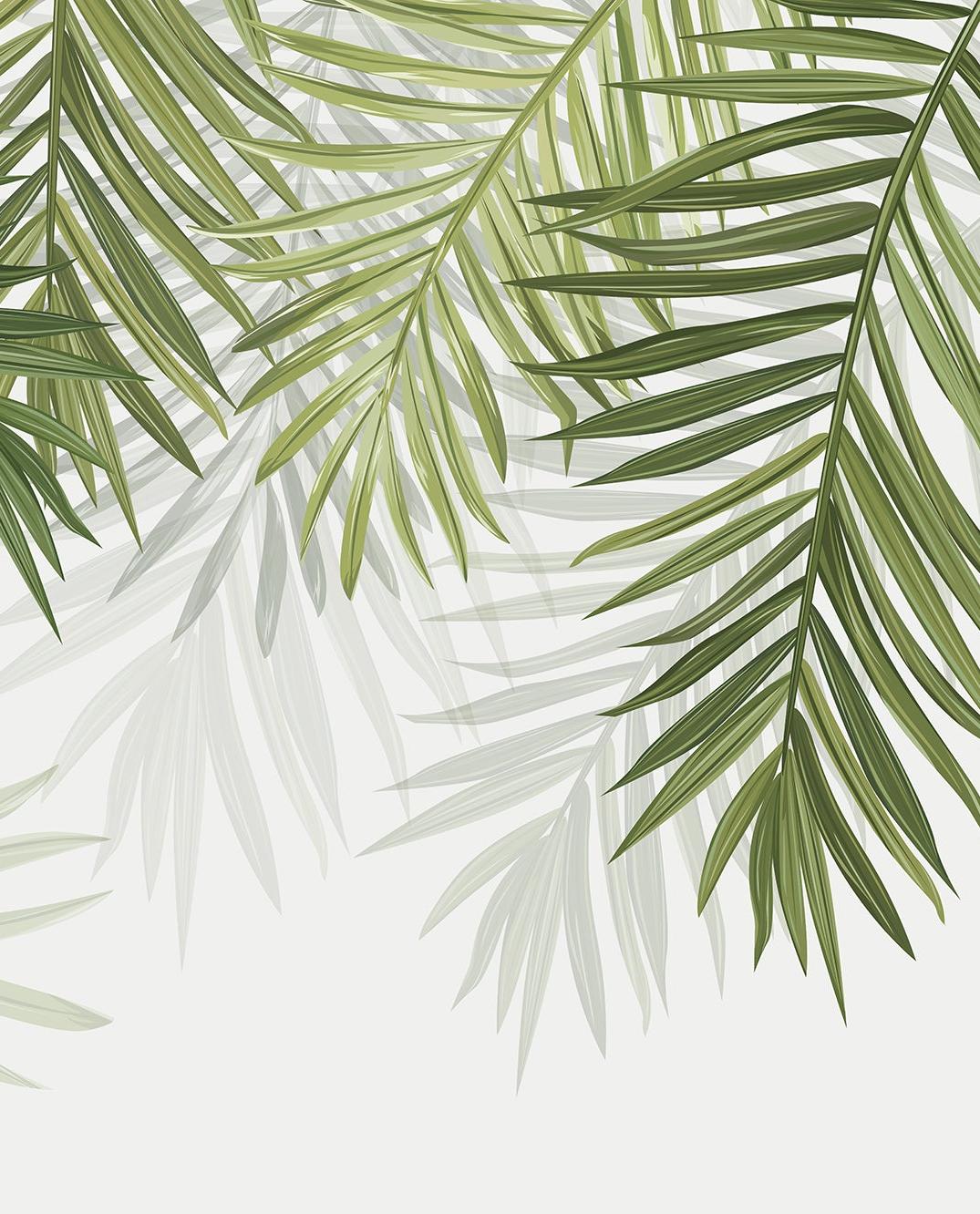 Papier peint feuillage vert feuilles de palmier