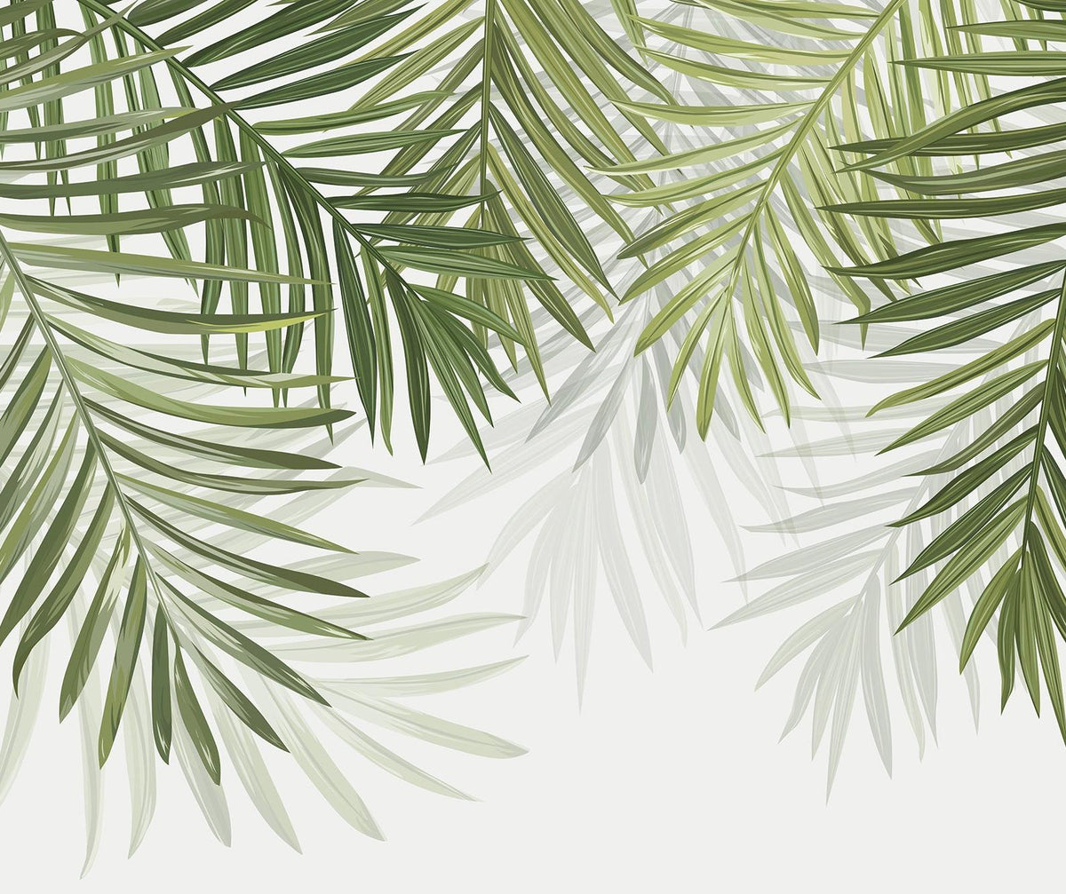 Papier peint feuillage vert feuilles de palmier