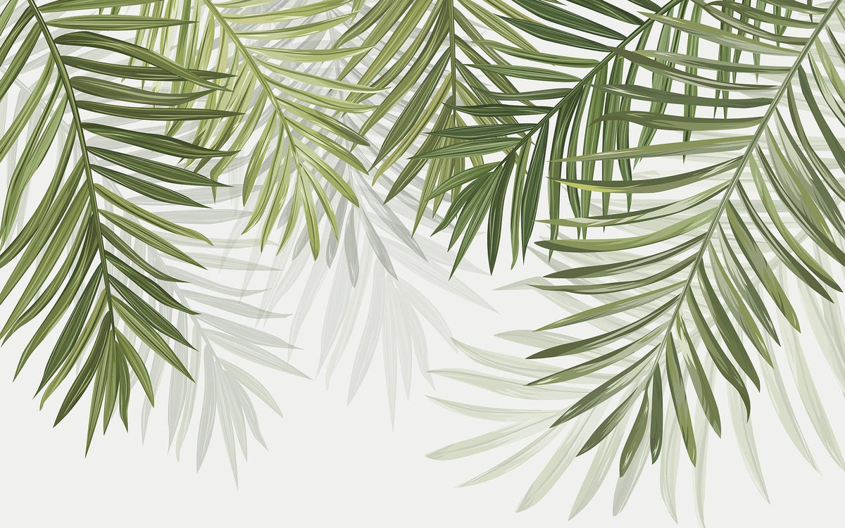 Papier peint feuillage vert feuilles de palmier