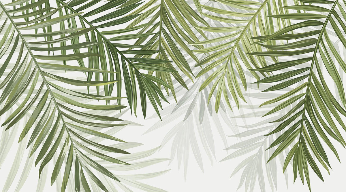 Papier peint feuillage vert feuilles de palmier