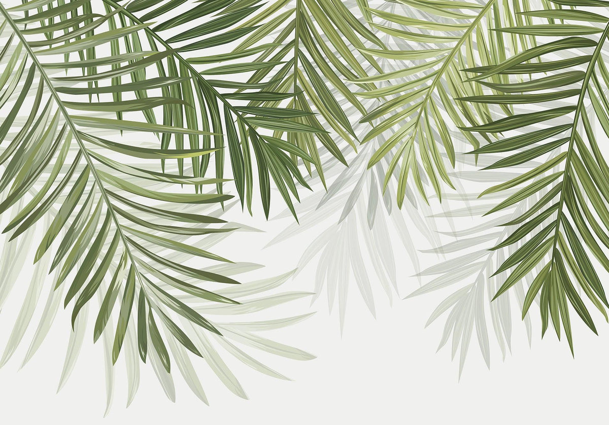 Papier peint feuillage vert feuilles de palmier