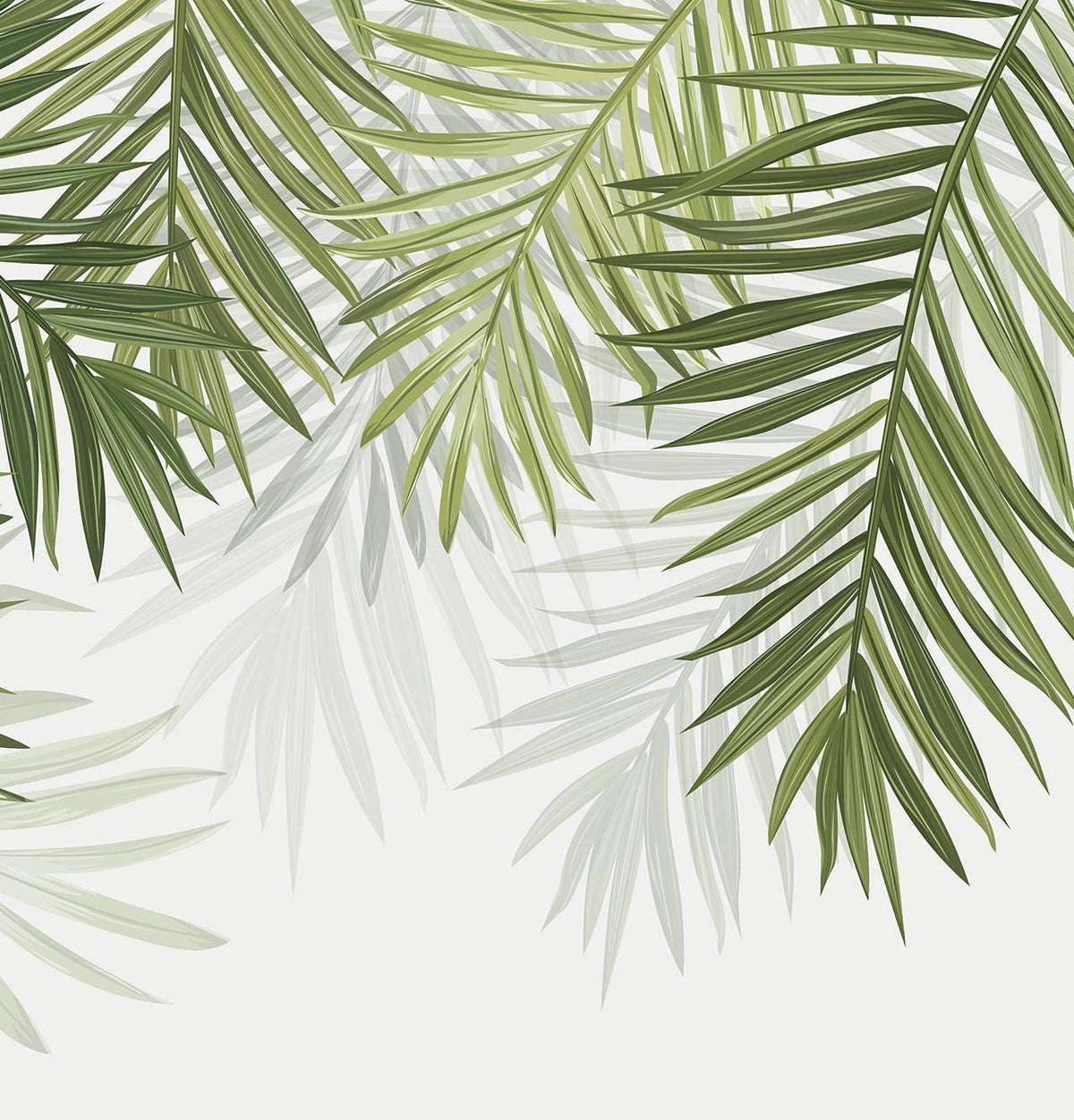 Papier peint feuillage vert feuilles de palmier