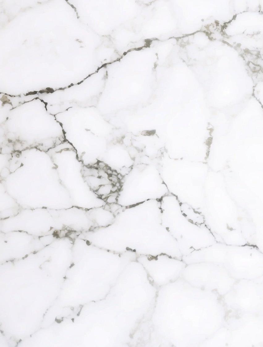 Papier peint marbre blanc veiné noir