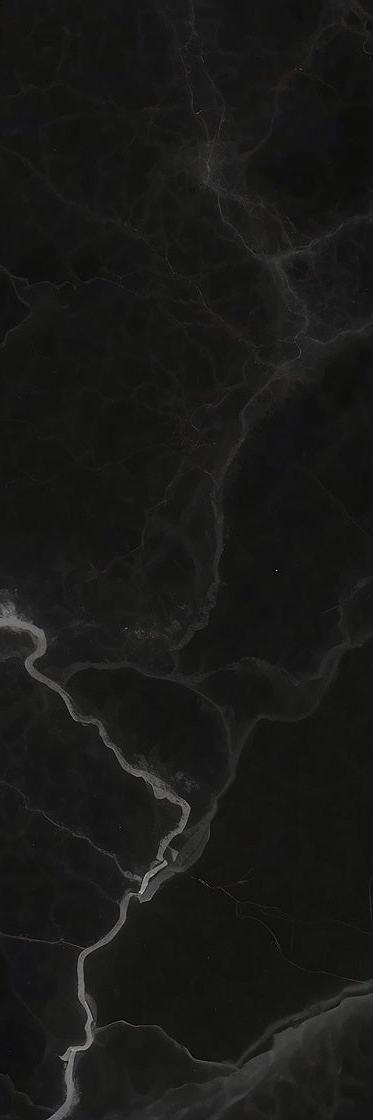 Papier peint marbre noir veiné blanc