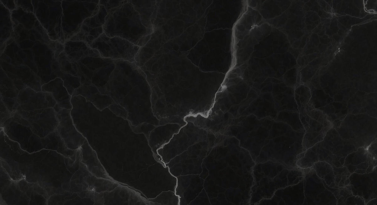 Papier peint marbre noir veiné blanc