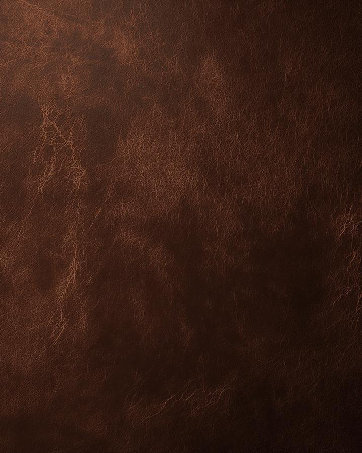 Papier peint effet vieux cuir vintage