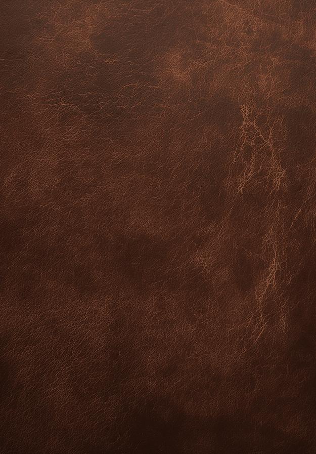 Papier peint effet vieux cuir vintage