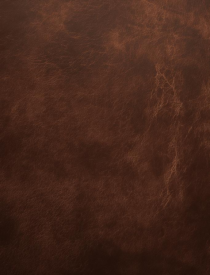 Papier peint effet vieux cuir vintage