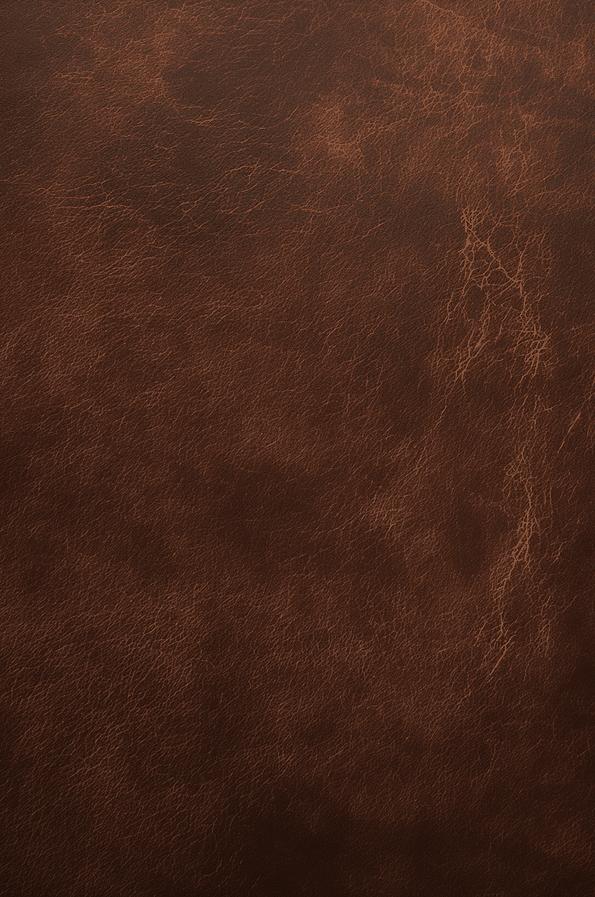 Papier peint effet vieux cuir vintage