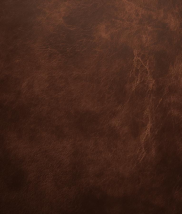 Papier peint effet vieux cuir vintage