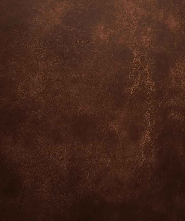 Papier peint effet vieux cuir vintage