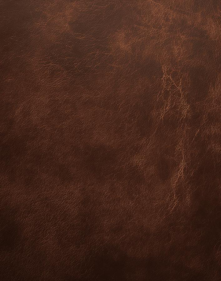 Papier peint effet vieux cuir vintage