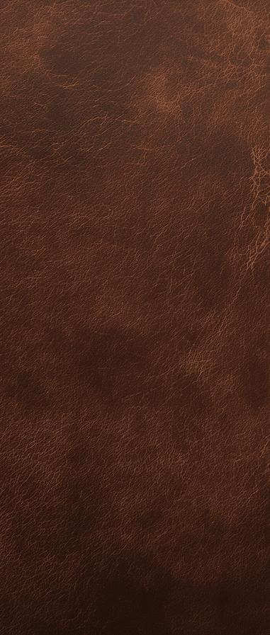 Papier peint effet vieux cuir vintage
