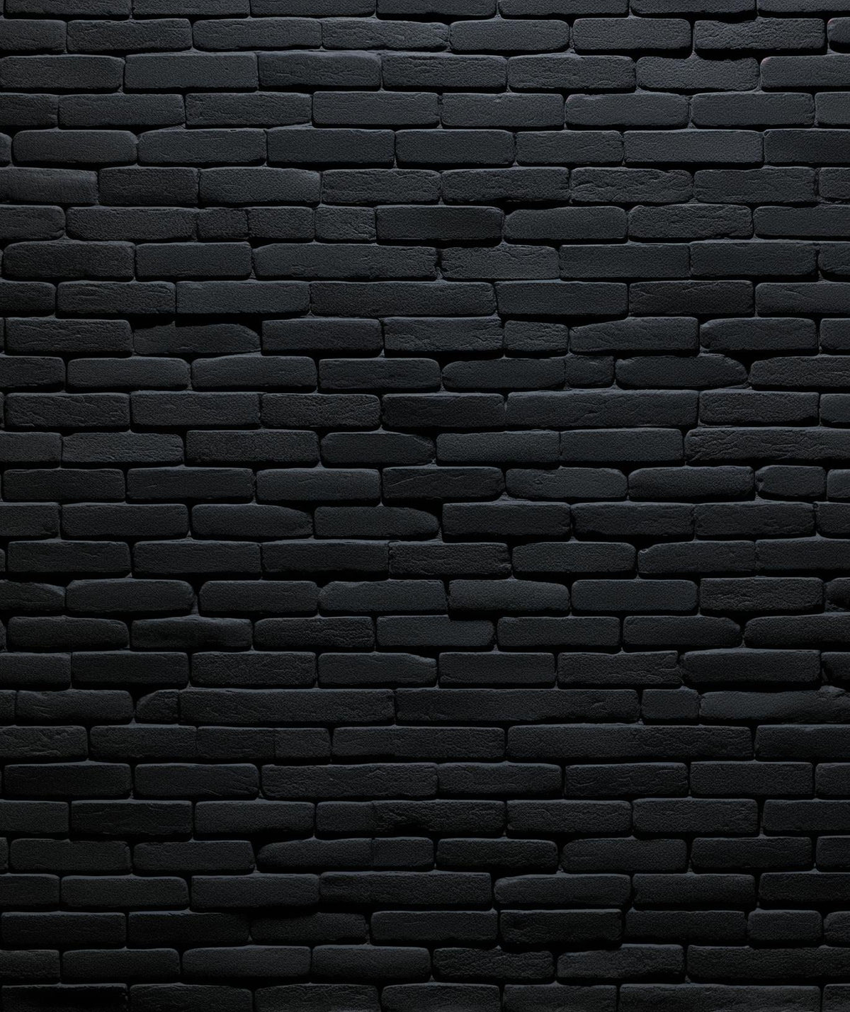 Papier peint briques noires fines