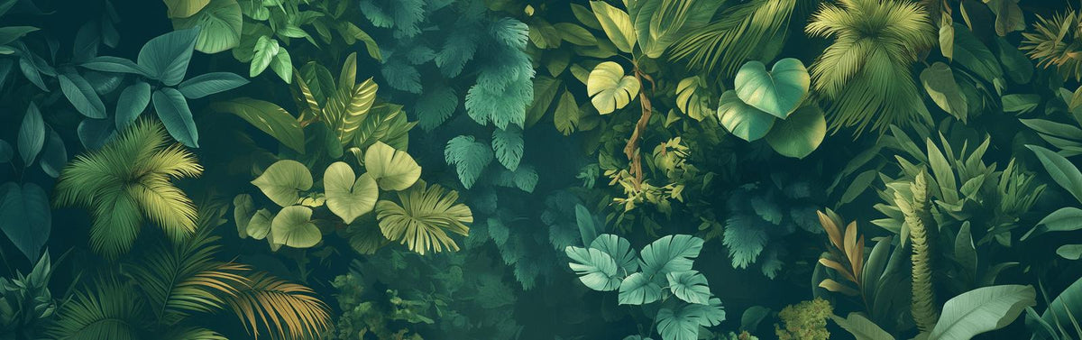 Papier peint feuillage forêt équatoriale