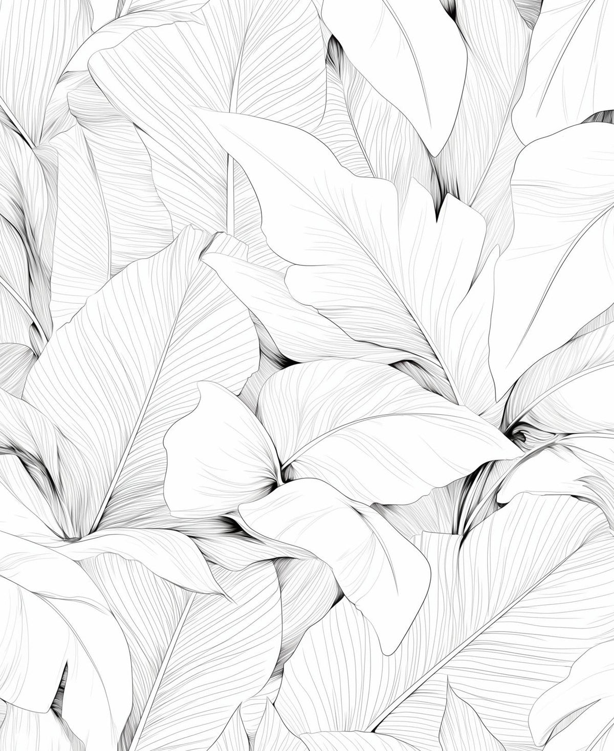 Papier peint feuillage noir et blanc dessin crayon