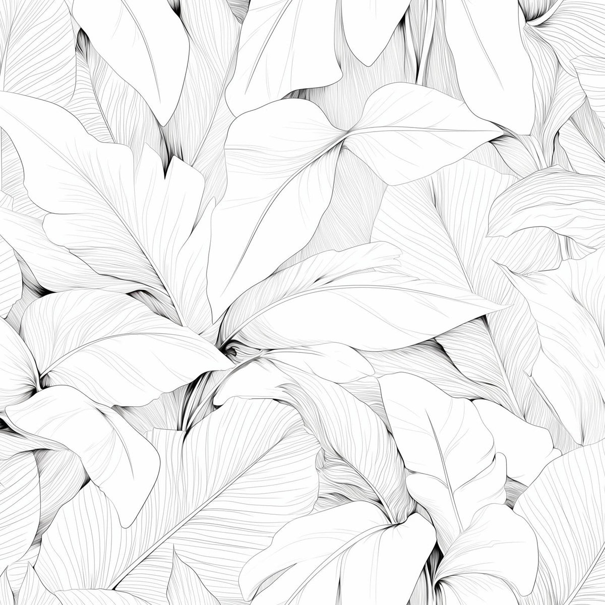 Papier peint feuillage noir et blanc dessin crayon