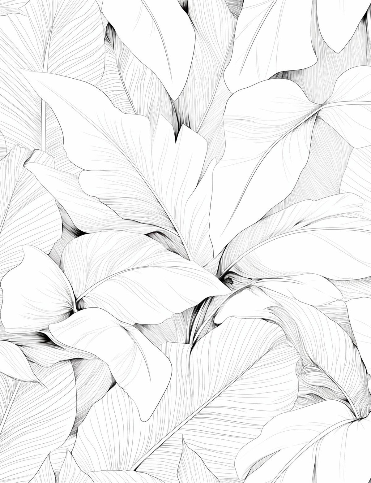 Papier peint feuillage noir et blanc dessin crayon