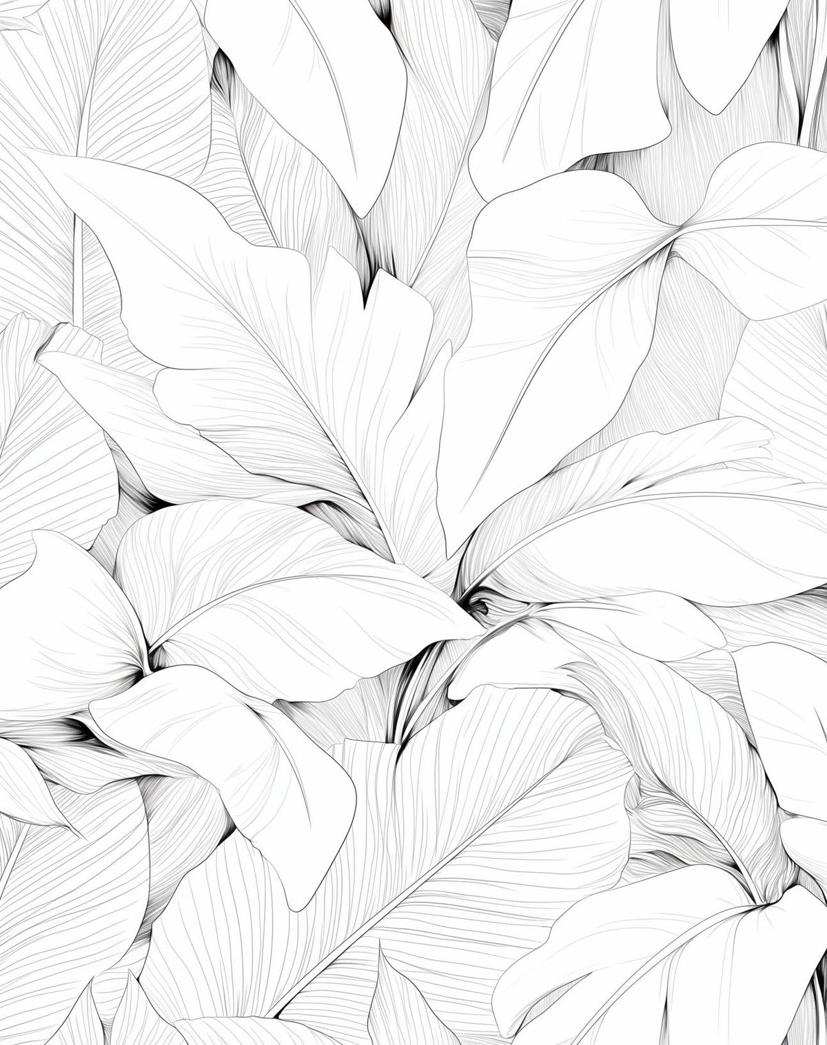 Papier peint feuillage noir et blanc dessin crayon