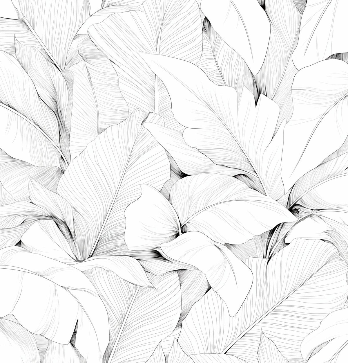 Papier peint feuillage noir et blanc dessin crayon