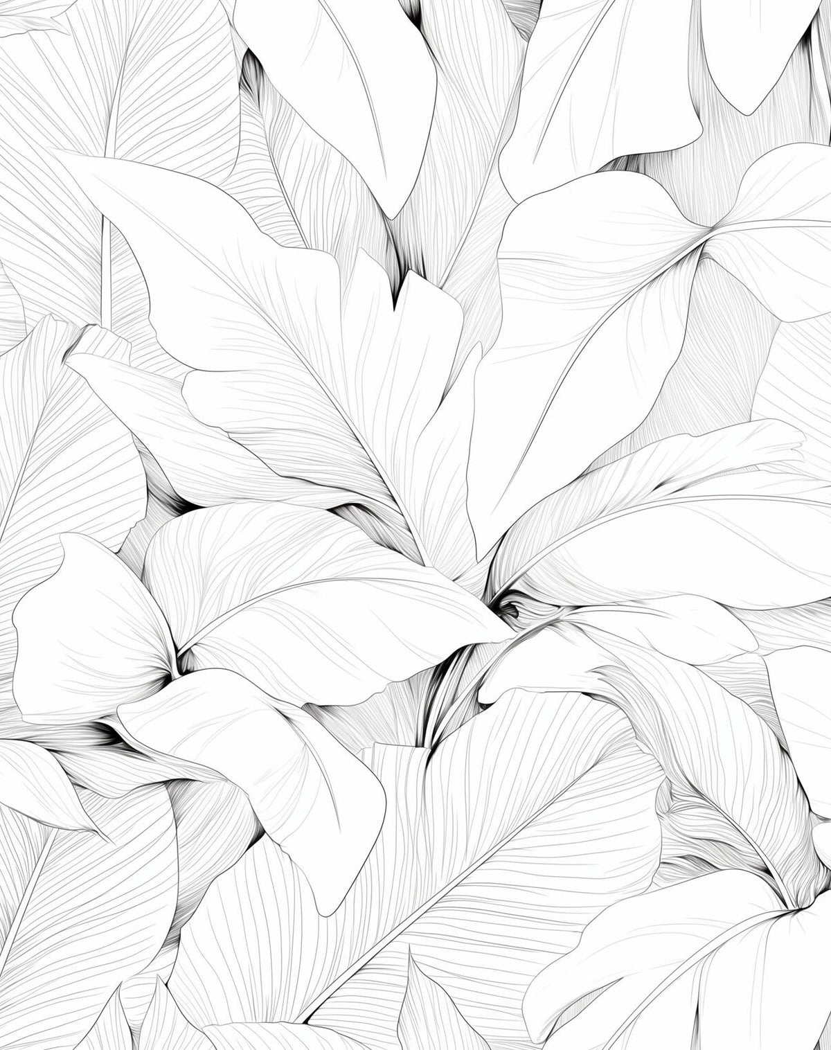 Papier peint feuillage noir et blanc dessin crayon