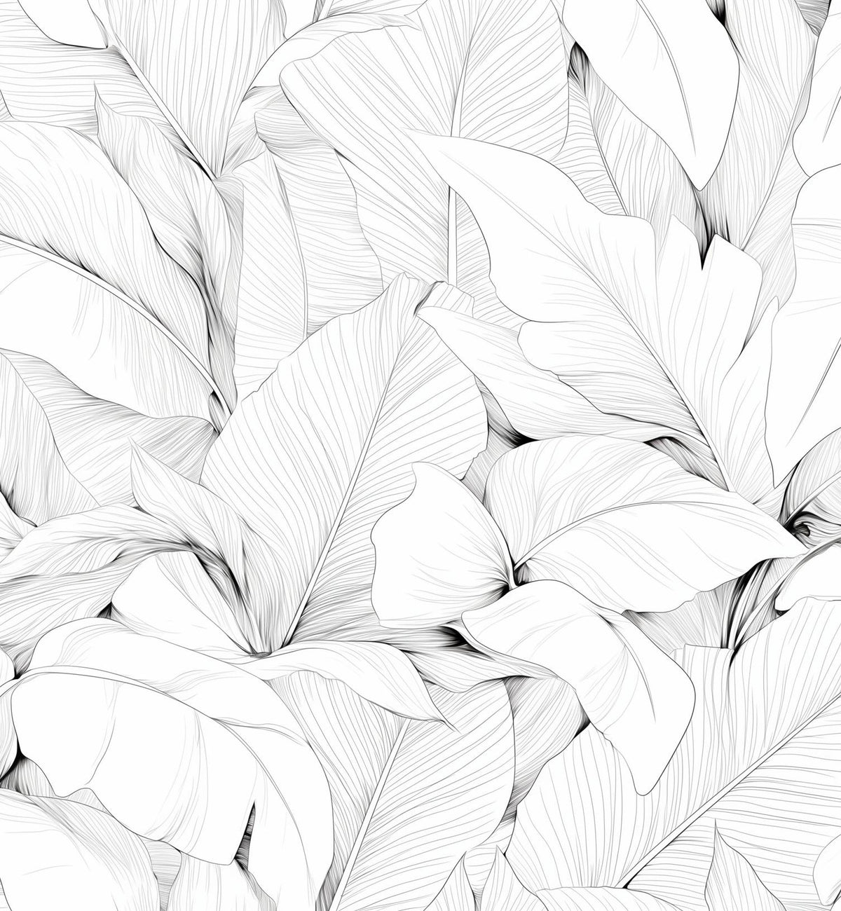 Papier peint feuillage noir et blanc dessin crayon