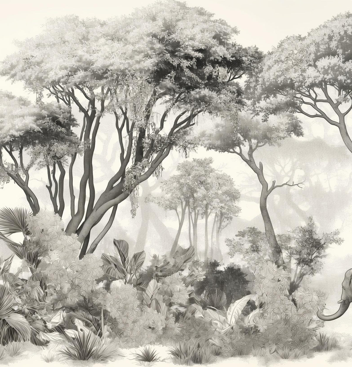 Papier peint éléphant forêt noir et blanc