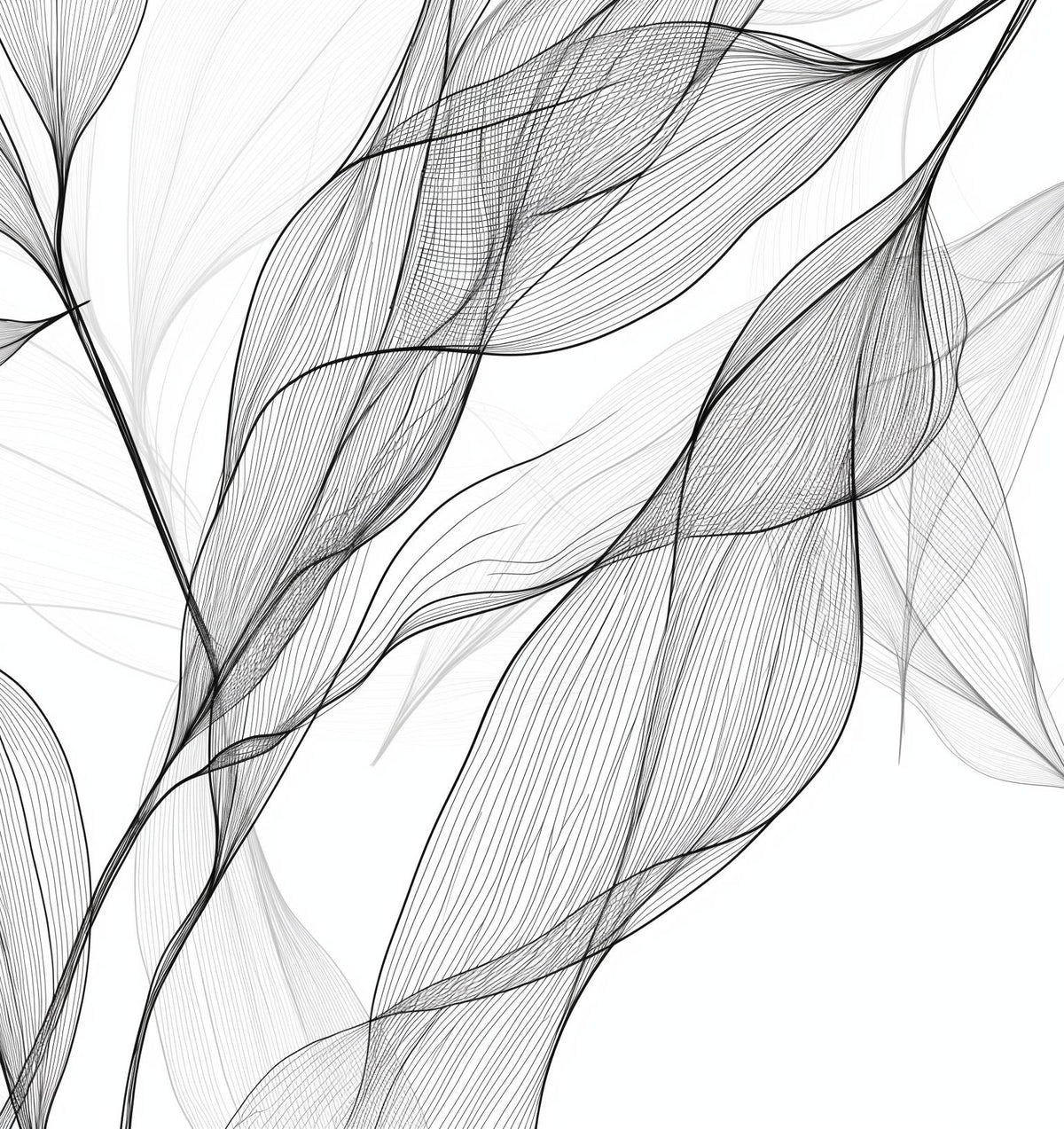 Papier peint feuillage abstrait noir et blanc