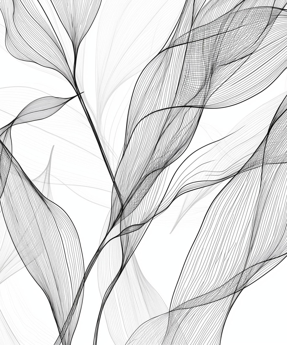Papier peint feuillage abstrait noir et blanc