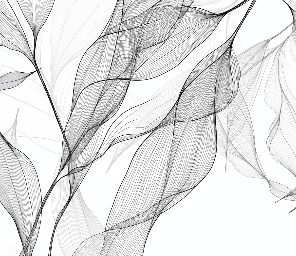 Papier peint feuillage abstrait noir et blanc