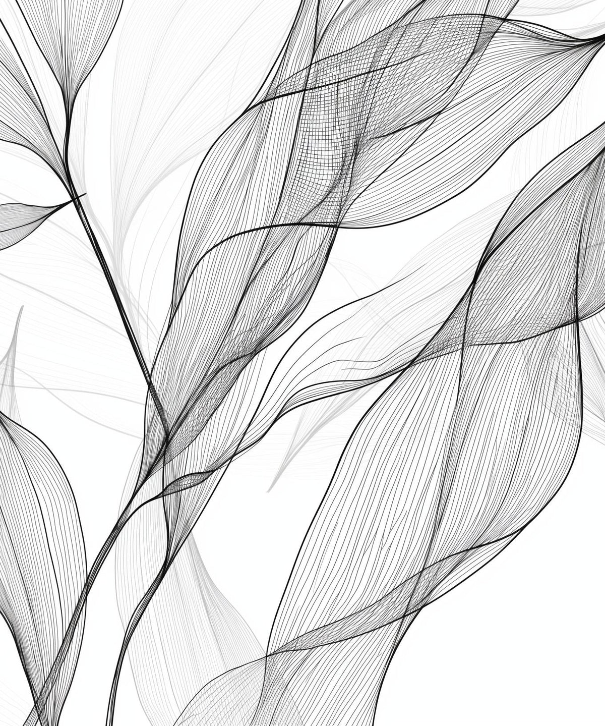 Papier peint feuillage abstrait noir et blanc