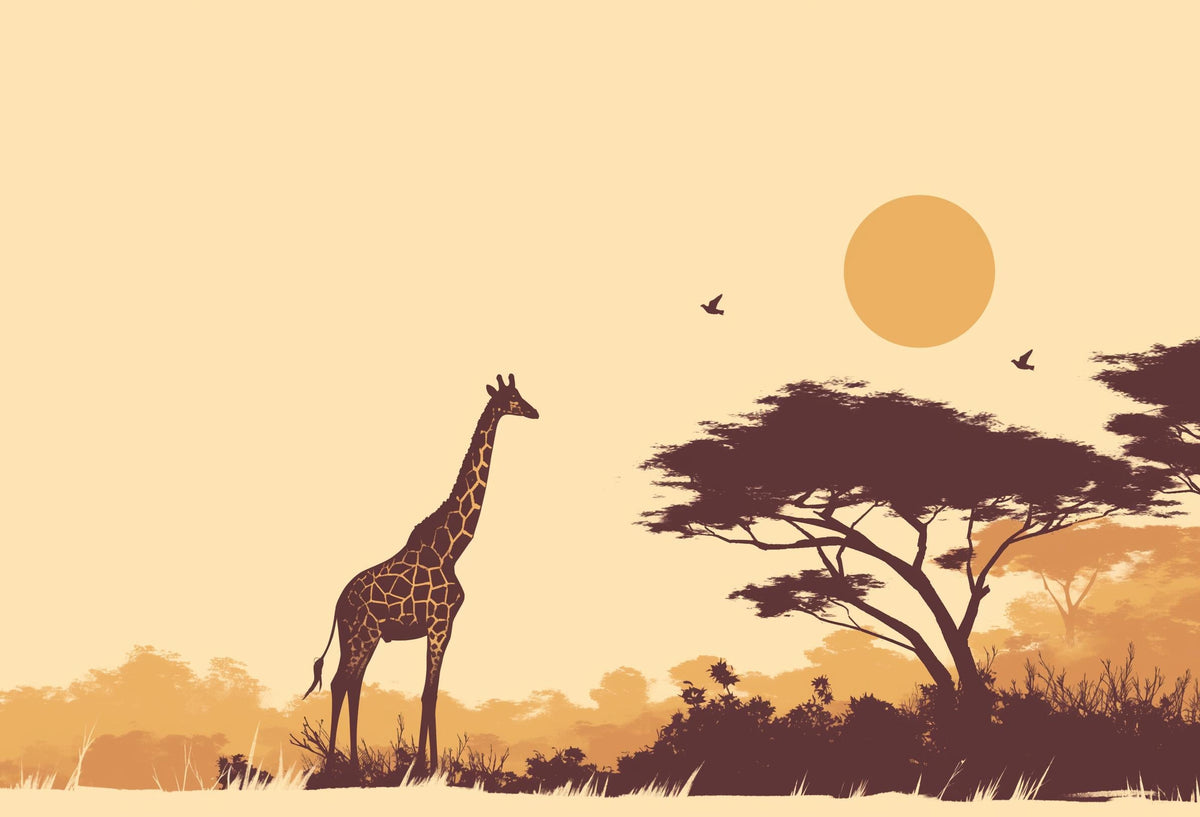 Papier peint girafe coucher de soleil savane