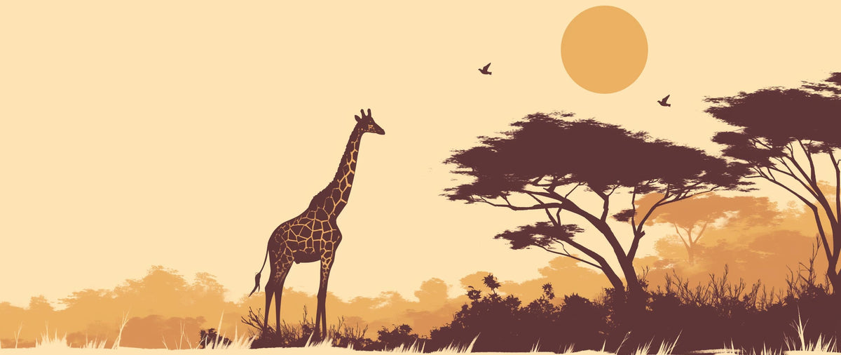 Papier peint girafe coucher de soleil savane