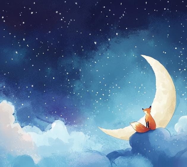 Papier peint chambre enfant renard et lune