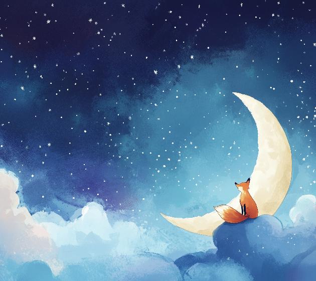 Papier peint chambre enfant renard et lune