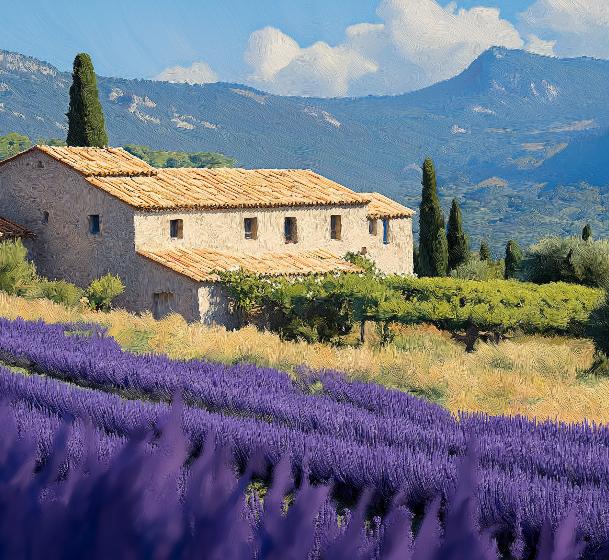 Papier peint Provence champs de lavande