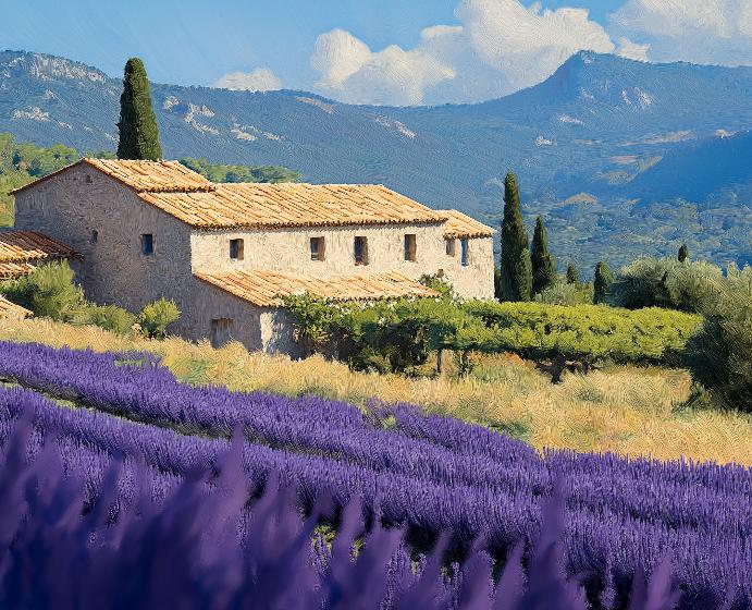 Papier peint Provence champs de lavande