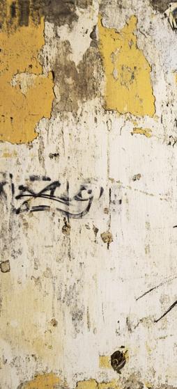 Papier peint chat street art urbain